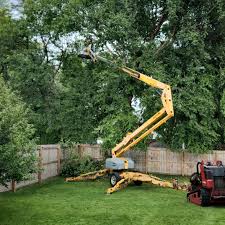 Best Tree Risk Assessment  in , VA