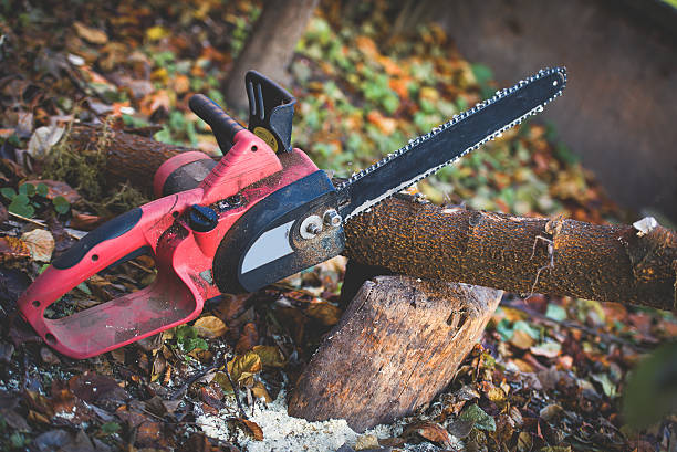  , VA Tree Care Pros